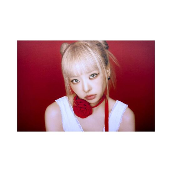 POSTCARD | Loossemble [TTYL]